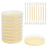 Teton Environmental, Inc. 10 Mold Test Kit Test Different Areas in Home, Swab Sample and Air Sample, Easy-to-Use Guide