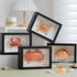 1st 6.6 4.6 Heaven Framed Real Crab Taxidermy Preserved Specimen for Wall Art, Coastal Home Decor, or Educational