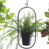 2 Inch Ceiling Hooks, Vinyl Coated Screw-in Cup Hook for Hanging Plants, Lights, Mugs - Heavy Duty Indoor Outdoor Use