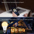 Lighting EVER Smart LED Light Bulbs, 60 Watt Equivalent, Dimmable with App, Warm White 2700K, A19 E26, Alexa & Google