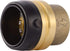 SharkBite 1-1/4 Inch Push Cap, Push to Connect Brass Plumbing Fitting for PEX Pipe, Copper, CPVC