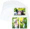 Samsill 50 Pack Ultra Clear 4x6 Photo Album Pages for 3 Ring Binder, Archival Photo Sleeves, 300 Total Photos