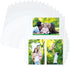 Samsill 50 Pack Ultra Clear 4x6 Photo Album Pages for 3 Ring Binder, Archival Photo Sleeves, 300 Total Photos