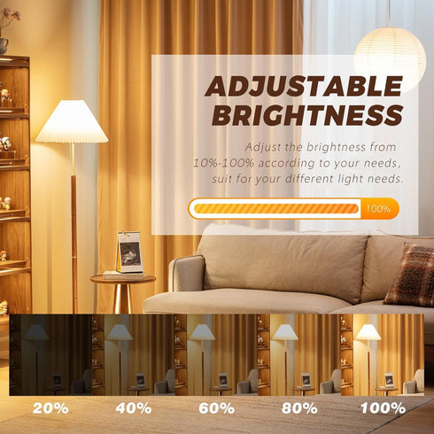 Blakapoo G9 Bulb 40W 2 120 Dimmable T4 (Pack 12) Halogen pin Volt Long Lifespan JCD Type Bi-pin Base