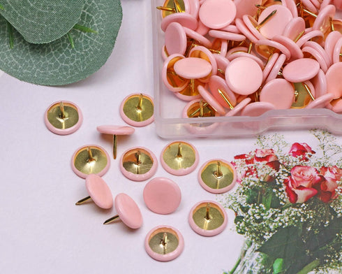 Tupalizy 120PCS Flat Plastic Round Head Map Thumb Tacks, Push Pins with Steel for Hanging Art, DIY Craft (Light Pink)