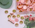 Tupalizy 120PCS Flat Plastic Round Head Map Thumb Tacks, Push Pins with Steel for Hanging Art, DIY Craft (Light Pink)