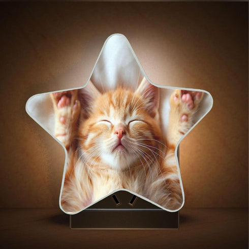 Burbuja 0.2W Cute Cat LED Night Light Plug into Wall Star-Shaped Nightlight Dusk to Dawn Auto Sensor for Bedroom
