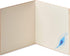 Papyrus Blank Card (Elegant Peacock)