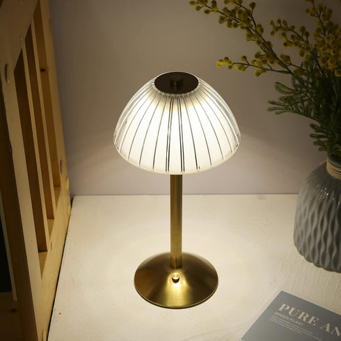 BWHSHK TD010 Gold Portable Desk Lamp for Bedroom,USB Rechargeable Table Lamp/Night Lamp