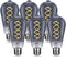 ST58 (ST19) LED Edison Bulbs, 45 Watt Equivalent, Dimmable Antique LED Filament Bulbs, 5000K Daylight White, 6 Pack