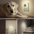 6 Pack KINUR Night Light, LED Night Lights Plug into wall with Dusk to Dawn sensors, Plug in Night Lights for Kids