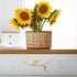 Closet Toddmomy Kitchen Cabinet Handles and Drawer Pulls, Right-Side Metal Furniture Pulls for Wardrobes, Dressers