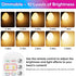 Yochoice 2-Pack A19 Bulbs 15 Dimmable Bulbs 3 Bulb Rechargeable Light with Remote, Colors Shift + Battery Operated