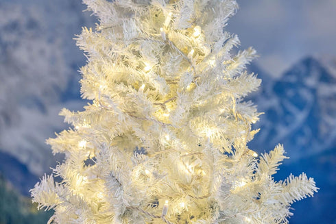 11ft 50 Bulbs 2.5" Commercial Novelty Lights Christmas String Lights, Warm White LED on White Wire, Spacing