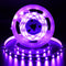echosari Strip Lights USB 5V, 9.8Ft 180 LED Strip Lights 2835 SMD
