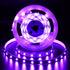echosari Strip Lights USB 5V, 9.8Ft 180 LED Strip Lights 2835 SMD