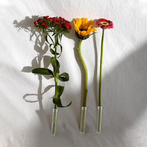 AIEX 48pcs Reusable Plastic Flower Tubes with Silicone Cap for Flower Plants, 7.2 x 1.8 cm (Transparent)