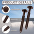 Blulu 60 3 Inch Pcs Vinyl Shutter Fastener Window Panel Peg Lok Pin Pegs Screws Shutter Spikes Anchor (Federal Brown)