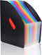 Lemical Desktop Expanding File Holder, 13 Rainbow Pockets, A4 File Organizer for Home, Office, School