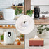 TKYPZY 8 360 Pcs Self Adhesive Caster Wheels Appliance Rollers for Kitchen Swivel Mini Universal Wheel Small Appliances