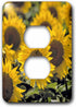 3dRose lsp_93335_6 Light Switch Cover, North Dakota Sunflowers in Cass County Us35 Rer0008 Ric Ergenbright