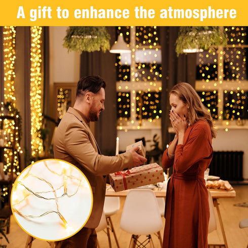 100FT 300 Warm White String Lights LED Extra Long Waterproof Fairy Lights on Clear Wire, Plug-in Indoor Outdoor