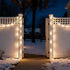 150 50 LUCKY SHINE LED Warm White Christmas Lights, UL Certified FT Green Wire String Lights, for Indoor and Outdoor