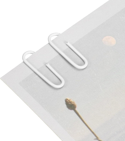 YOKIVE 600 Pcs Paper Clips, Smooth Surface Office Clips with Box, White, 1.1-Inch, Great for Home, Art, Daily Use