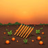 YuanHolumid 6Pcs 0.5mm Carrot Gel Pens, Orange School Company Writing Gel Pen, Creative Classic Cute Gel Pen to Write