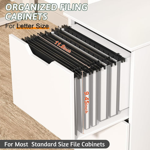Plastic Hanging File Folder, Letter Size, 12 Pack, Reinforced with 2 Inch Expansion, Black
