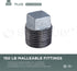 HNQM1000 1 Inch Galvanized Malleable Iron Plug with Square Head