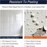16oz 10pcs 25-30sq.ft Tub and Tile Refinishing Kit, Tub Paint with Tools, Tile Paint Kit Shower Bathtub Paint Water
