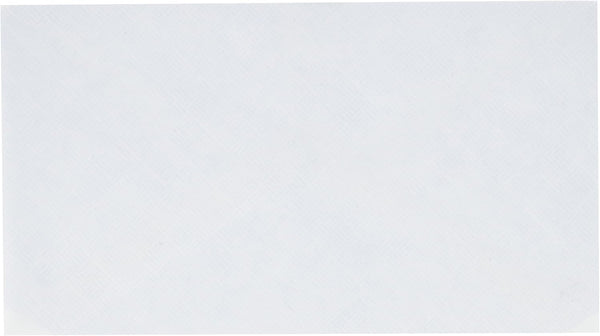 Mead No.6 3/4 Security Envelopes, 80 Count (75212)