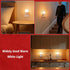 670nm 2 Pack echosari Red & Warm White Light Night Light for Sleep, Red Night Lights with Dusk to Dawn Sensor, LED