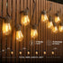 50FT Bulbs, Commercial addlon LED Outdoor String Lights with Edison Shatterproof Weatherproof Strand, Grade Patio