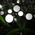 80mm Frosted Glass Globe Lampshade round Pendant Light Cover Replacement for Ceiling Fan and Wall Sconce Lighting