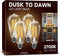 Dusk to Dawn Outdoor Light Bulbs, 6W Equivalent 60W ST64, 2700K Soft White, 600LM LED, E26 Base, 4 Pack