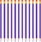 Zhanmai 24 Pieces Checking Erasable Pencils - Pre-Sharpened #2 HB with Erasable Tops for Grading Tests