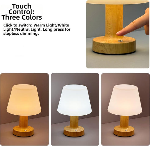 3-Level Dimmable Shower Lamp Mushroom Lamp LED Table Lamp for Bedroom Rechargeable Desk Bedside Small Lamps Night Light
