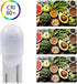 T10 Wedge Base LED Bulb, 12V DC 1W, Low Voltage Landscape Light Bulbs, 4 Watts Incandescent Equivalent, Soft Warm White