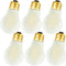 DONDDA Frosted E26 Edison Bulb A15 2W led Equal 25 watt Light Bulb