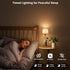 Dimming Set 2 Wireless Wine Bottle Lamp Shade Rechargeable RGB Bottle Light for Liquor Bottles with Remote Control