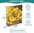 J JOYSAY 1.5 Inch 3 2 Pack Bananas Ring Binder with Clipboard Round Ring Binder Cute Folders Fits Letter Sized Paper