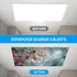 2 Pack 4 2 7) Fluorescent Light Covers- x Feet Magnetic Ceiling Light Cover Room Supplies (Color