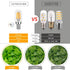 Dimmable Salt Lamp Bulbs E12 LED Night Light Bulbs 40 Watt Equivalent 4W, 2200K Warm White, 350LM, 2 Pack