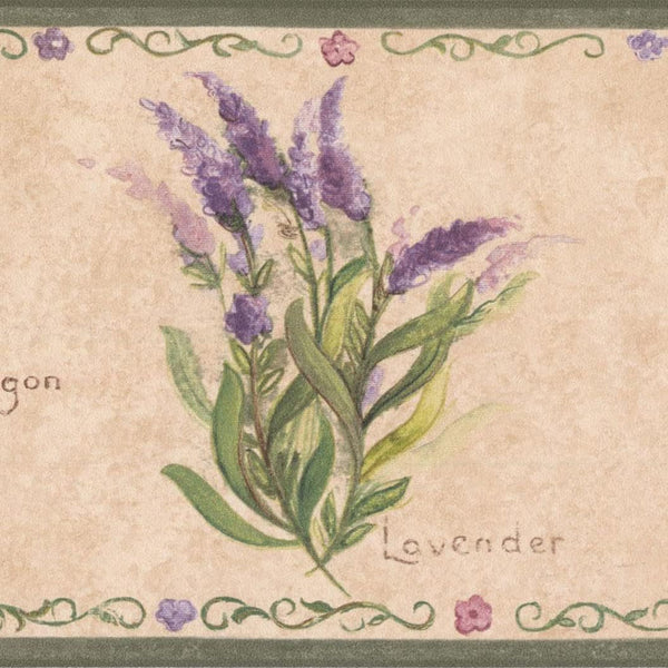 Concord Wallcoverings Wallpaper Border Country Pattern Herbs Tarragon Lavender Parsley for Cottage