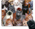 Smooffly Gaming Mouse Pad Custom Design, Cats Galore White Black Brown Cat Personality Gaming Mouse Pad