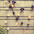 25FT Bulb 27 Bulbs, ST35 E12 SUNSGNE Outdoor Edison String Lights with Clear Edison Vintage String Lights for Patio