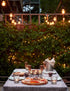 25 9pcs S14 Bulbs, 1 E26 Dimmable, IP65 Commercial 2700K Svater Outdoor Led String Lights FT, Patio Lights for Outside