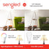 Sengled 75W Bulb 4PK Bluetooth Color